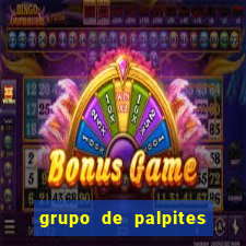 grupo de palpites de futebol telegram